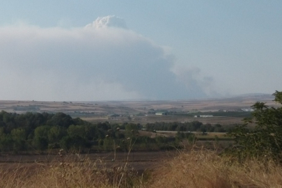 Bulgaristan'daki Yangının Dumanı Edirne'ye Ulaştı