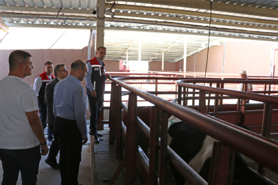 Edirne’de Hayvan Kontrol ve Dinlendirme İstasyonu İncelendi