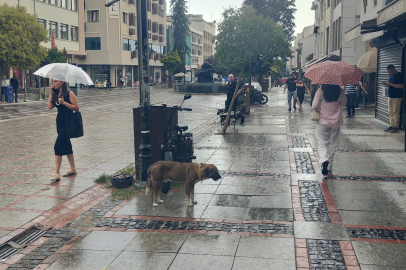 Edirne’de Öğleden Sonra Yağış Bekleniyor