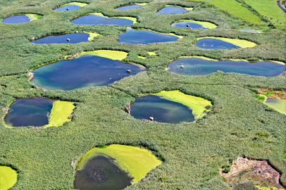 Kuraklığın Etkilerinin Hissedildiği Edirne'deki Göl Baba Sulak Alanı Adeta Vahayı Andırıyor
