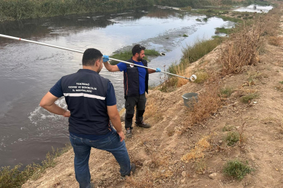 Tekirdağ'da Arıtılmadan Çorlu Çayı’na Yapılan Atık Su Deşarjına İnceleme