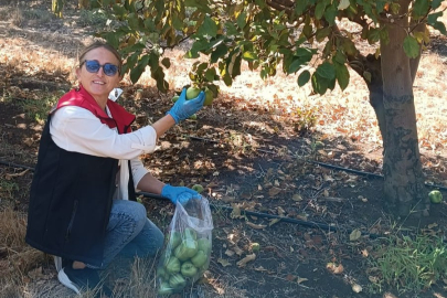 Tekirdağ’da Hasat Öncesi Pestisit Denetimleri Sürüyor