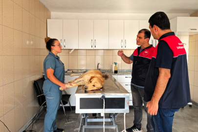 Kırklareli İl Tarım ve Orman Müdürlüğü’nden Sahipsiz Hayvan Barınağına Ziyaret