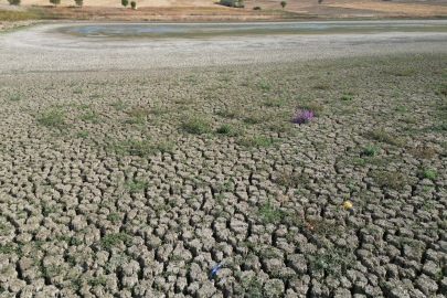 Tekirdağ'da Yeşilsırt Göleti Kuraklık Nedeniyle Kuruma Noktasına Geldi