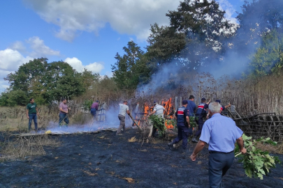 Kırklareli'nde Çıkan Örtü Yangını Söndürüldü