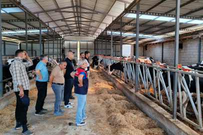 Karahamza Tarımsal Kalkınma Kooperatifi’nden Düve Alımı