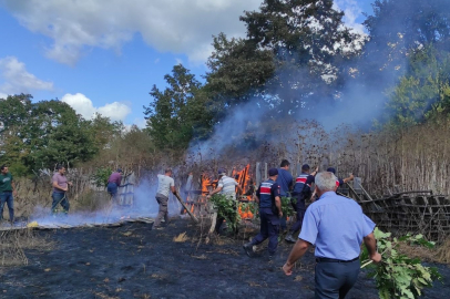 Kırklareli'nde Örtü Yangını: 25 Dekar Alan Zarar Gördü
