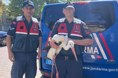 Bayramiç'te Bulunan Yaralı Leylek Tedavi Altına Alındı