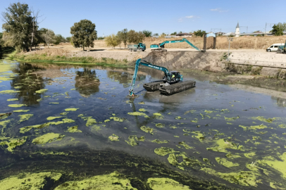 Tunca Yatağındaki Otlar Temizleniyor