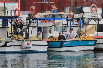 Tekirdağlı Balıkçılar Poyrazın Etkisini Yitirmesiyle Yeniden Denize Açıldı