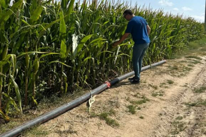 Lüleburgaz’da İkinci Ürün Silajlık Mısır Kontrolleri Yapıldı