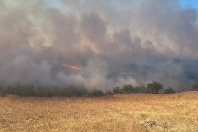 Edirne'de Anızda Çıkıp Ağaçlık Alana Sıçrayan Yangın Söndürüldü