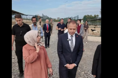 Kırklareli’nde Sokak Hayvanları İçin Ortak Çalışma