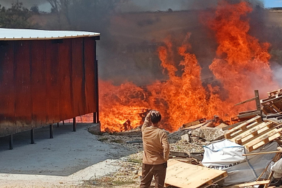 Tekirdağ'da Palet Fabrikasından Alevler Yükseldi: Yüzlerce Palet Alev Alev Yandı