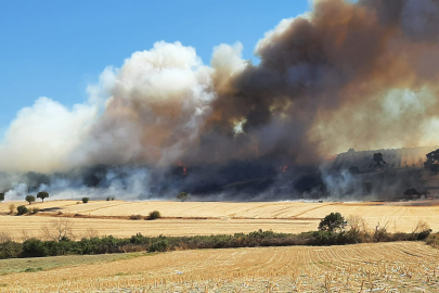 Çanakkale'de Zeytinlikten Ormana Sıçrayan Yangına Müdahale Ediliyor