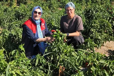 Babaeski’de Çiftçi Ziyaretleri ve Ürün Kontrolleri Yapıldı