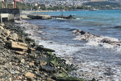Tekirdağ'da Poyraz Fırtınası Kıyılarda Kızıl Yosunlara Neden Oldu