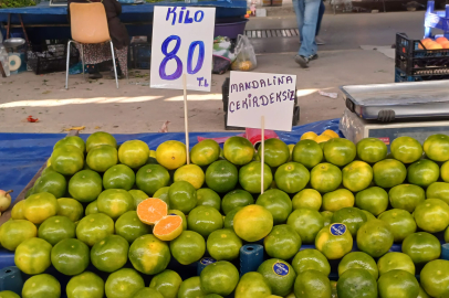 Mandalina Edirne Pazarı'ndaki Yerini Aldı