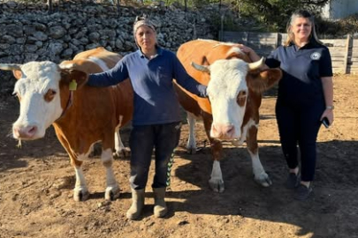 Genç Çiftçi Projesi Kapsamındaki Üreticiye Teknik Ziyaret