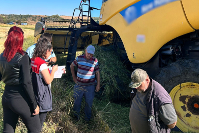 Kırklareli’nde Çeltik Hasadı Kontrol Altında Sürüyor