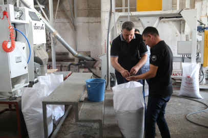 Lezzetiyle Öne Çıkan "Karaduman" Çerezlik Ayçiçeği Çeşidi Hastalıklara Karşı Güçlendirildi