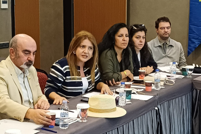 Uzel: "Roman Sorunları Daha Derinlemesine İncelenmeli"