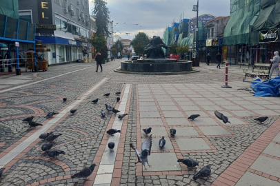 Edirne’de Bugün Hava Sıcaklığı Kaç Olacak?