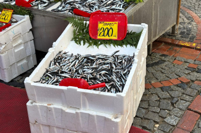 Edirne’de Uygun Fiyata “İnce” Hamsi Satışta