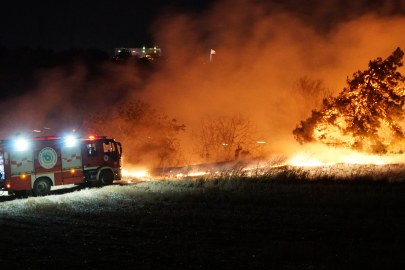 Tekirdağ'da Anızda Başlayıp Ağaçlık Alana Sıçrayan Yangın Söndürüldü