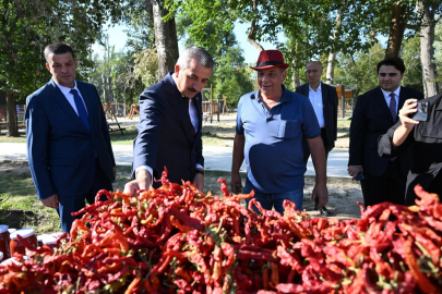 Vali Sezer, Edirne’de Festival Hazırlıklarını Yerinde İnceledi