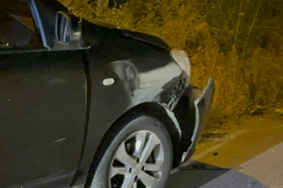 Park Halindeki Araca Çarpıp Kaçtı