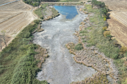 Tekirdağ'da Kırkkepenekli Göleti Kuraklık Nedeniyle Kuruma Noktasına Geldi