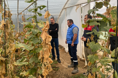 Kaymakam Enver Özderin’den Sera Üreticilerine Ziyaret