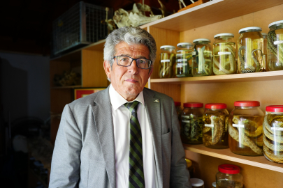 Çanakkale'de Akademisyenler, Topladıkları Sürüngenler Ve Bitkileri Modern Bir Müzede Sergilemek İstiyor