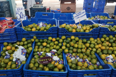 C Vitamini Deposu Mandalina Edirne Pazarı’nda 50 TL