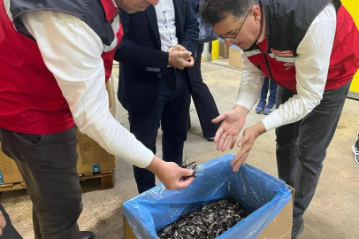 Saray Ormanlarından Trüf Mantarı İhracatı