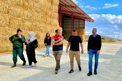 Kaymakam Özderin’den İlçedeki Tarım İşletmesine Ziyaret