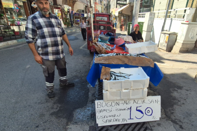 Seyyar Balıkçı: "Bu Senenin Balığı Sardalya"