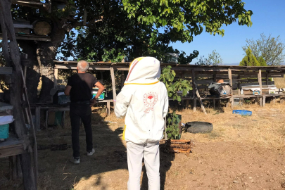 Kırklareli’nde Arılı Kovan Desteklemeleri Başvuruları Devam Ediyor