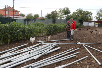 Köse, Sera Kurulumu Projesi Kapsamında İncelemelerde Bulundu
