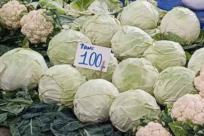 Edirne Pazarı'nda Lahana Bolluğu