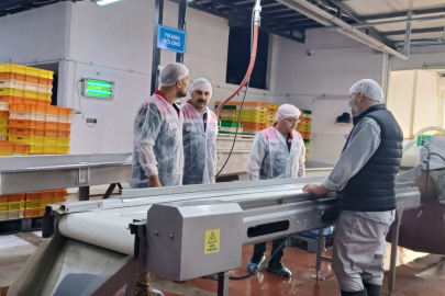 Edirne’de Su Ürünleri İşleme Tesisi Denetlendi