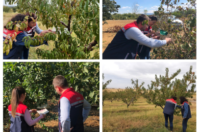 Havsa ve Keşan’da Zararlı Takip Çalışmaları Sürüyor