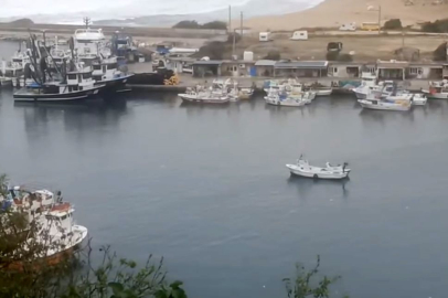 Balıkçı Demir: "Küçük Balıkçı Kasabalarını Ayakta Tutan Palamut Balığıdır"