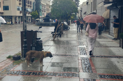 Edirne’de Bugün Yağış Var Mı?