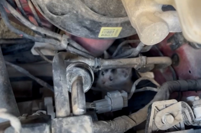 Motorda Mahsur Kalan Yavru Kedileri İtfaiye Kurtardı