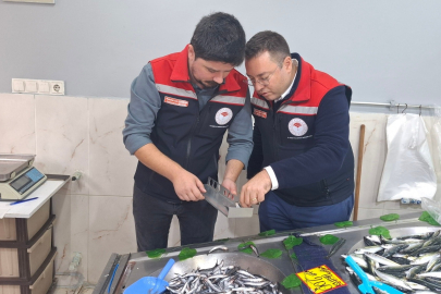 Hayrabolu'da Balık Satış Yerleri Denetlendi