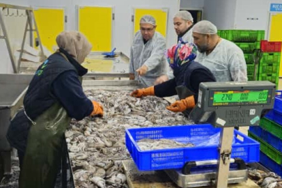 Enez’de Su Ürünleri İhracat İşletmesine Denetim Gerçekleştirildi