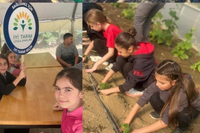 Edirne’de Tarım Akademisi’nde Salatalık Fideleri Toprakla Buluştu