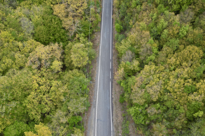 Ganos Dağı Eteklerindeki Ormanlar Sonbahar Renklerine Bürünmeye Başladı